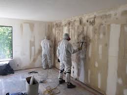 Best Forensic Mold Investigation  in Woburn, MA